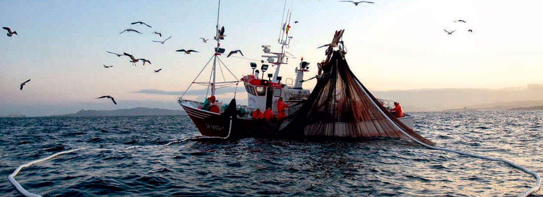 Sudameris Pesca 1