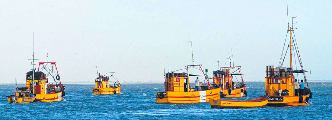 Sudameris Pesca 4