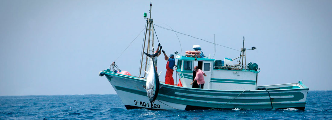 Sudameris Pesca 5